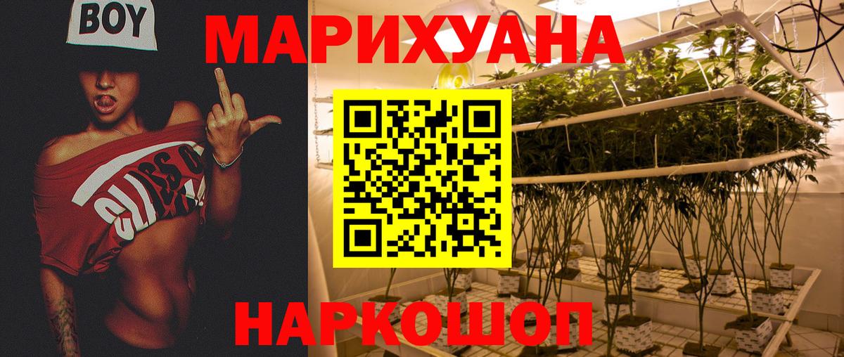 Каннабис OG Kush Биробиджан